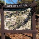 중대산 입구(만지송) 네이버블로그