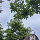 영락농원 이미지