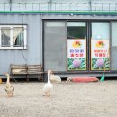 기정농장 이미지