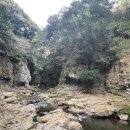 미로객잔 | 표선 게스트하우스 미로객잔/가시리유채꽃길/정방폭포...생태공원/칠돈가 중문점/롯데렌터카 4회 이용 후기