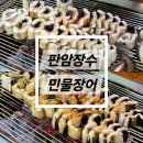 판암동176 이미지