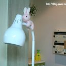 콩이네 이미지