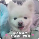 강현농협하나로마트