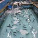 서경삼거리 이미지