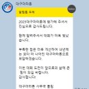 2025 대구마라톤 풀코스 후기 (동마 전 마지막 lsd)