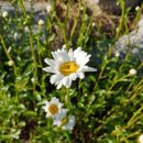 수양목장 이미지