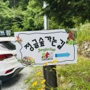 신림목장 | 아기와 첫 동물탐험 🐾🦜13개월 별이와 다녀온 원주 신림 정글숲 동물 체험기(알레르기 반응까지 솔직하게...