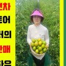 과일스토어 이미지