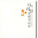 오렌지나무 이미지