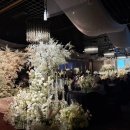 다이너스티 웨딩뷔페 이미지