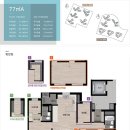 신양 벚꽃길 이미지