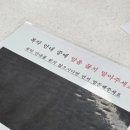 신이비인후과의원 이미지