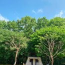 숲속에 안뜰 이미지