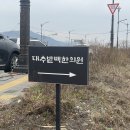 유명한의원 | 13] 쑥이네,경주 난임 한의원 🙏 삼신할배로 유명한 대추밭백한의원 방문후기 (한약 복용 2달 솔직후기)