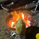 (주)포레스트 카라반 파크 | [전라남도 구례] 지리산 포레스트 카라반 파크 캠핑 캠핑장 숙소 이용정보 후기