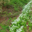 우리농장2 이미지