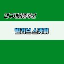스카이클린업 네이버블로그