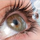 밝은안경원 이미지