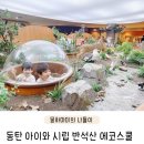 반석 숲 유치원 | 동탄 아기랑 가볼만한곳 실내 시립 반석산 에코스쿨