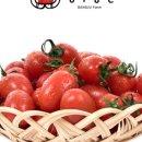 방주농원 이미지