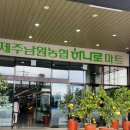 제주남원농협 하나로마트 딱새우 연어회 쇼핑 리스트 추천