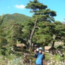 가람자원 이미지