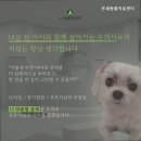 온새동물의료센터 이미지