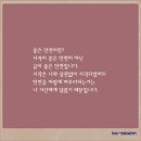 혜민카 이미지