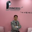 프린세스붙임머리
