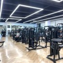 팀타이거짐 이미지