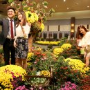 국화정원 이미지