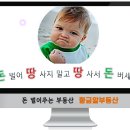 황금땅공인중개사사무소 이미지