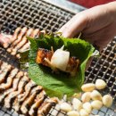 바다&장어 이미지