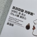 포레스트디바 이미지