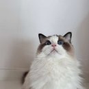 베스트골프아카데미 이미지