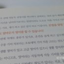 영어 잘하는 사람들의 7가지 습관 이미지