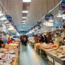 용궁회나라 이미지