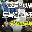 헬씨푸드