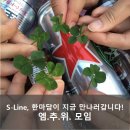소파앤스파크 이미지