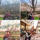 봄 당구장 이미지