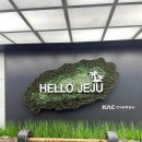 동진카 | 제주도 4박5일 가족여행 경비 총정리 (아이동반 현지인 맛집·숙박·렌트카 비용까지)