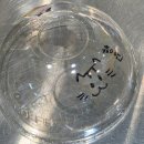 소소한그림카페 - 평택시 탄현로1번길 19 | 메가커피 ‘왜 이제 왔서’ 버튼 눌렀더니 그림이?! 소소한 힐링 후기