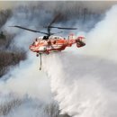 광산초등학교 이미지