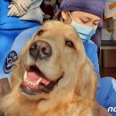 서라벌동물병원 이미지