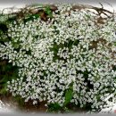 충북농장 이미지