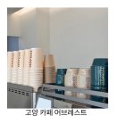 어브레스트1 이미지