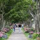 삼학민박 이미지