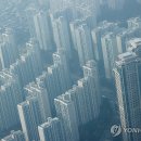 강남-243 이미지