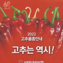 신비너스 | 고추종자 품종안내 사카타코리아 2022