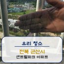 센트럴파크 | [유리청소]군산시 센트럴파크 아파트 유리청소 후기